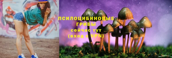 твердый Волоколамск