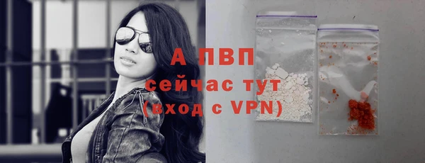 твердый Волоколамск